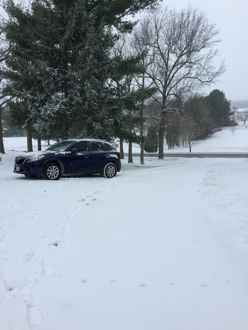 Illustration for article titled In-Laws' Steep Paved Driveway + Fresh Snow